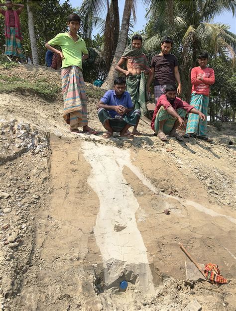 An ancient earthquake rerouted the Ganges River .